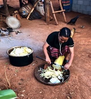  Karen lady preparing banana stalk to boil to feed her pigs 
