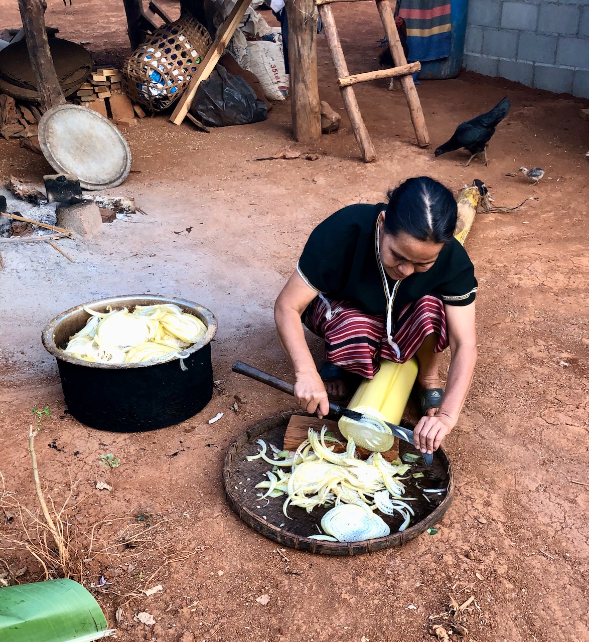  Karen lady preparing banana stalk to boil to feed her pigs 